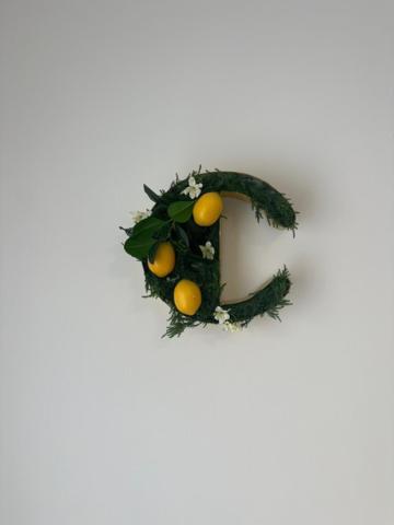 Citrus Suite By Alhaurin Loft City Center อาเลาริน เดลา ตอร์เร ภายนอก รูปภาพ
